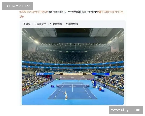 西安网球队技术争议引发热议球迷与专家各执己见探讨真相