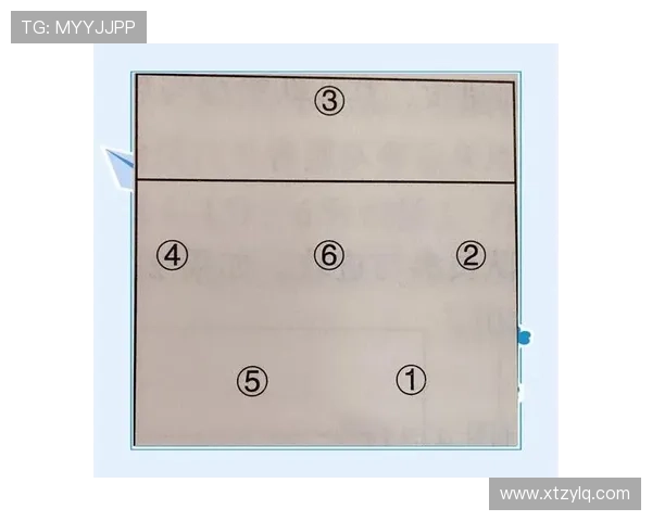 北京排球队的速度提升与战术创新探讨
