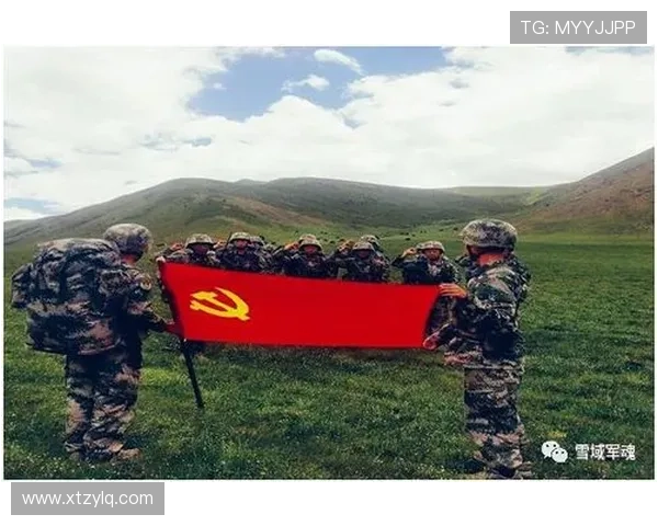 深圳乒乓球队的蜕变与崛起精英赛背后的奋斗与坚持