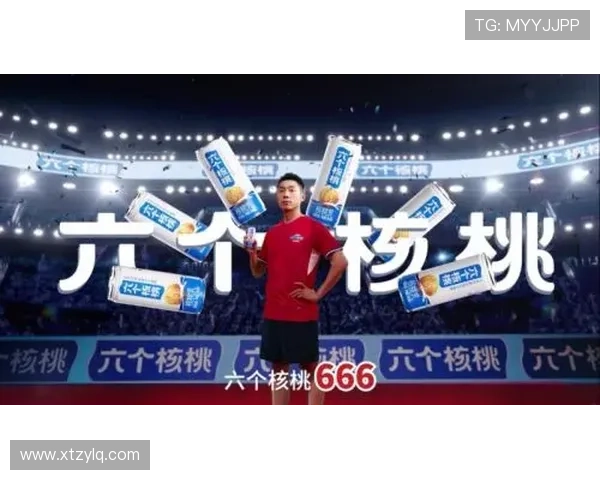 乒乓球战术探秘：西安乒乓球队的区域防守策略与实践分析